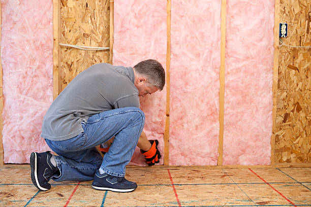 Best Insulation for Specific Applications in North El Monte, CA